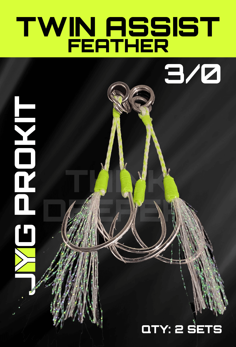 TWIN ASSIST HOOKS