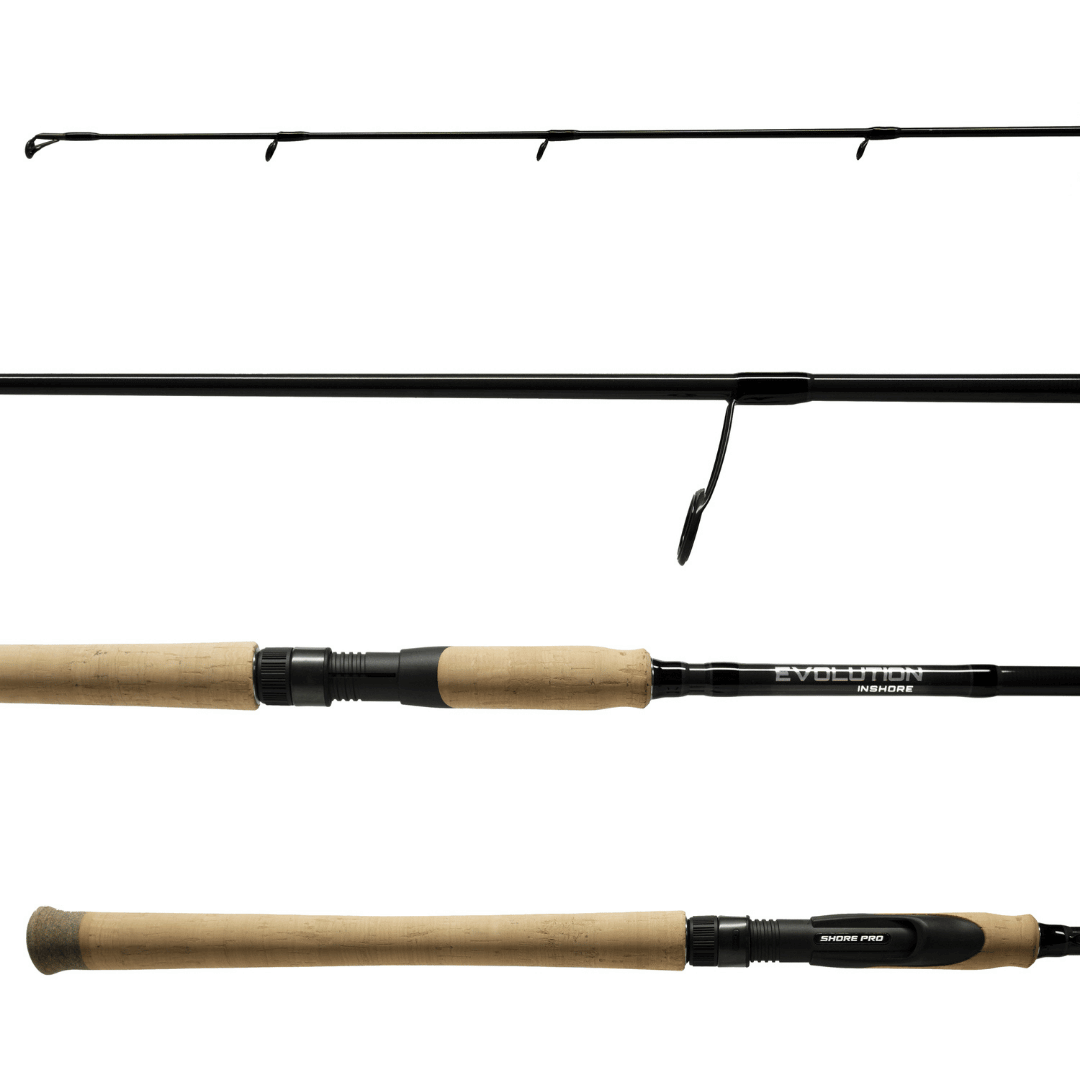 EVOLUTION INSHORE