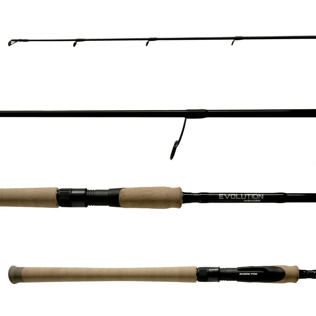 EVOLUTION INSHORE