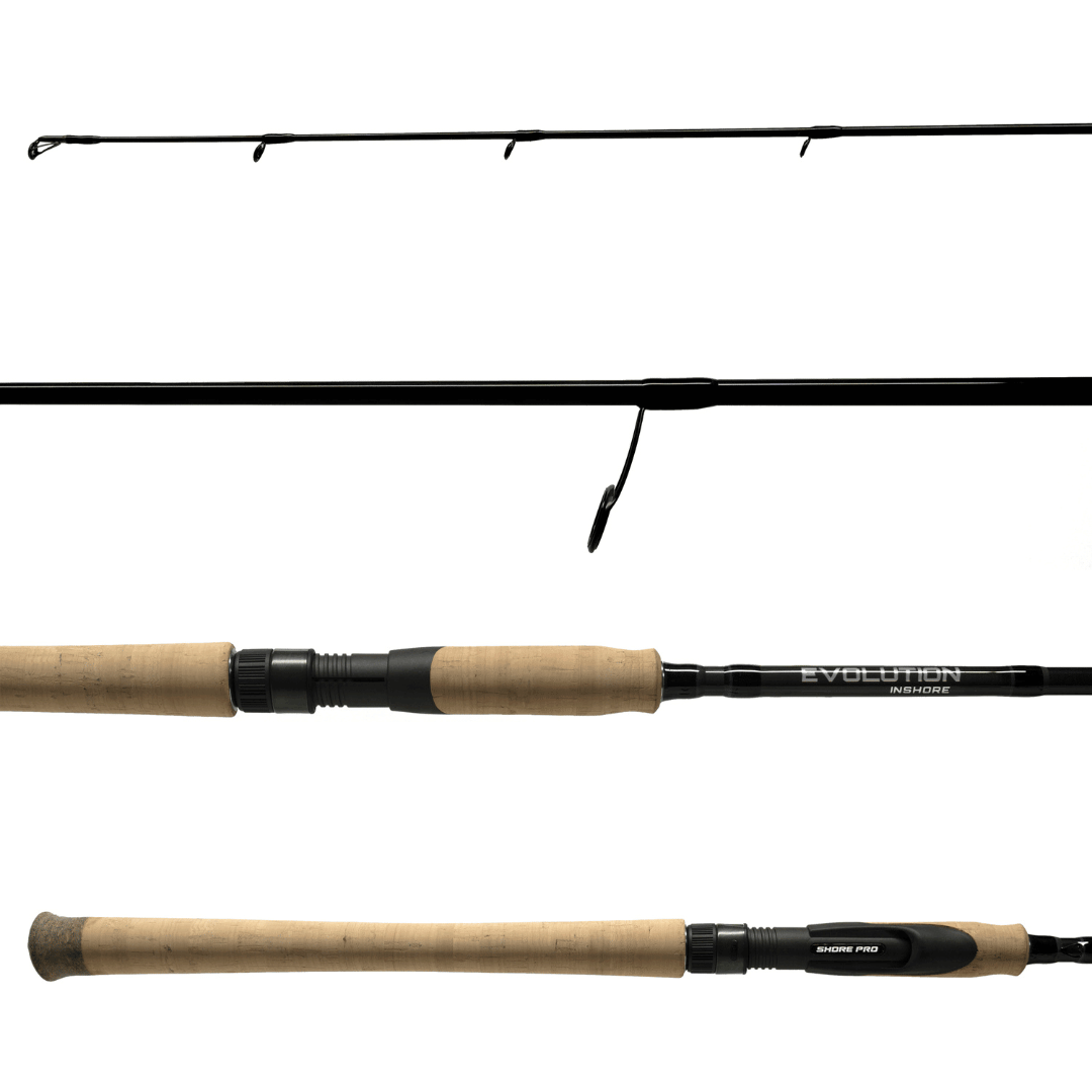 EVOLUTION INSHORE