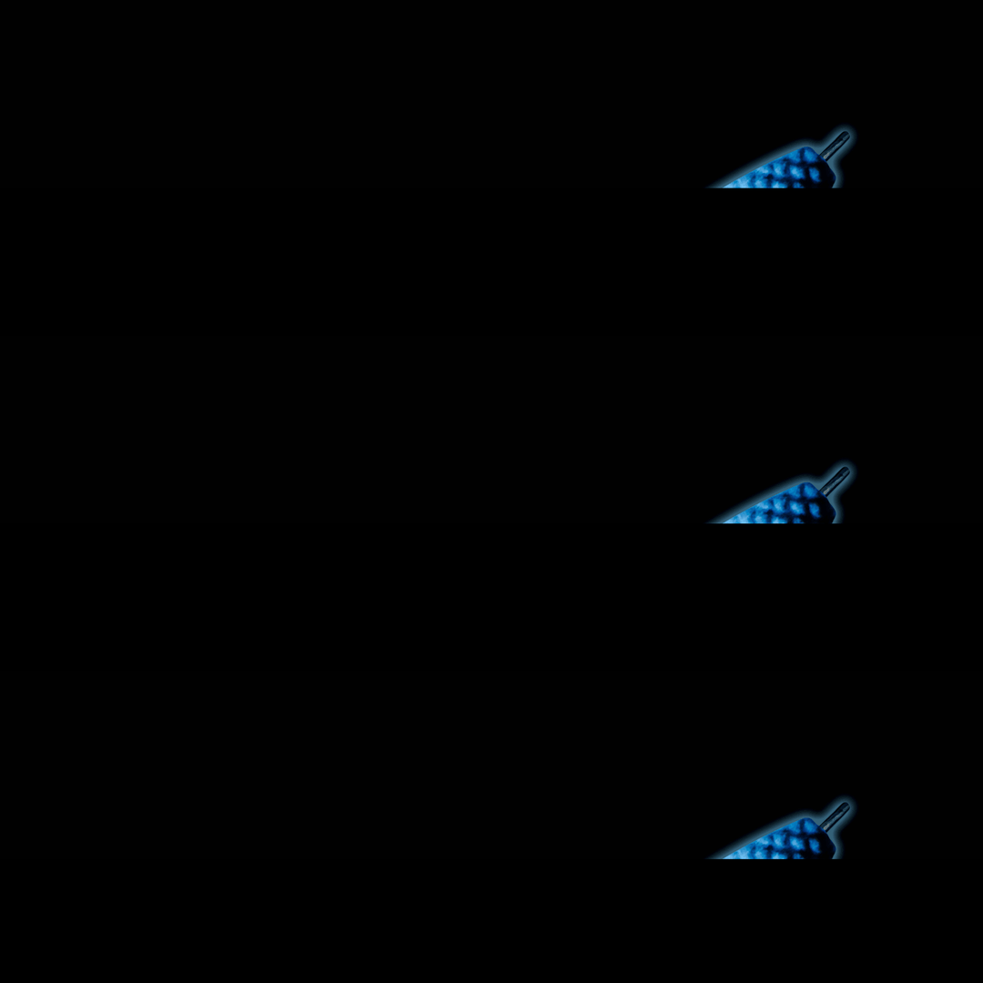WYLD - LIVE SERIES