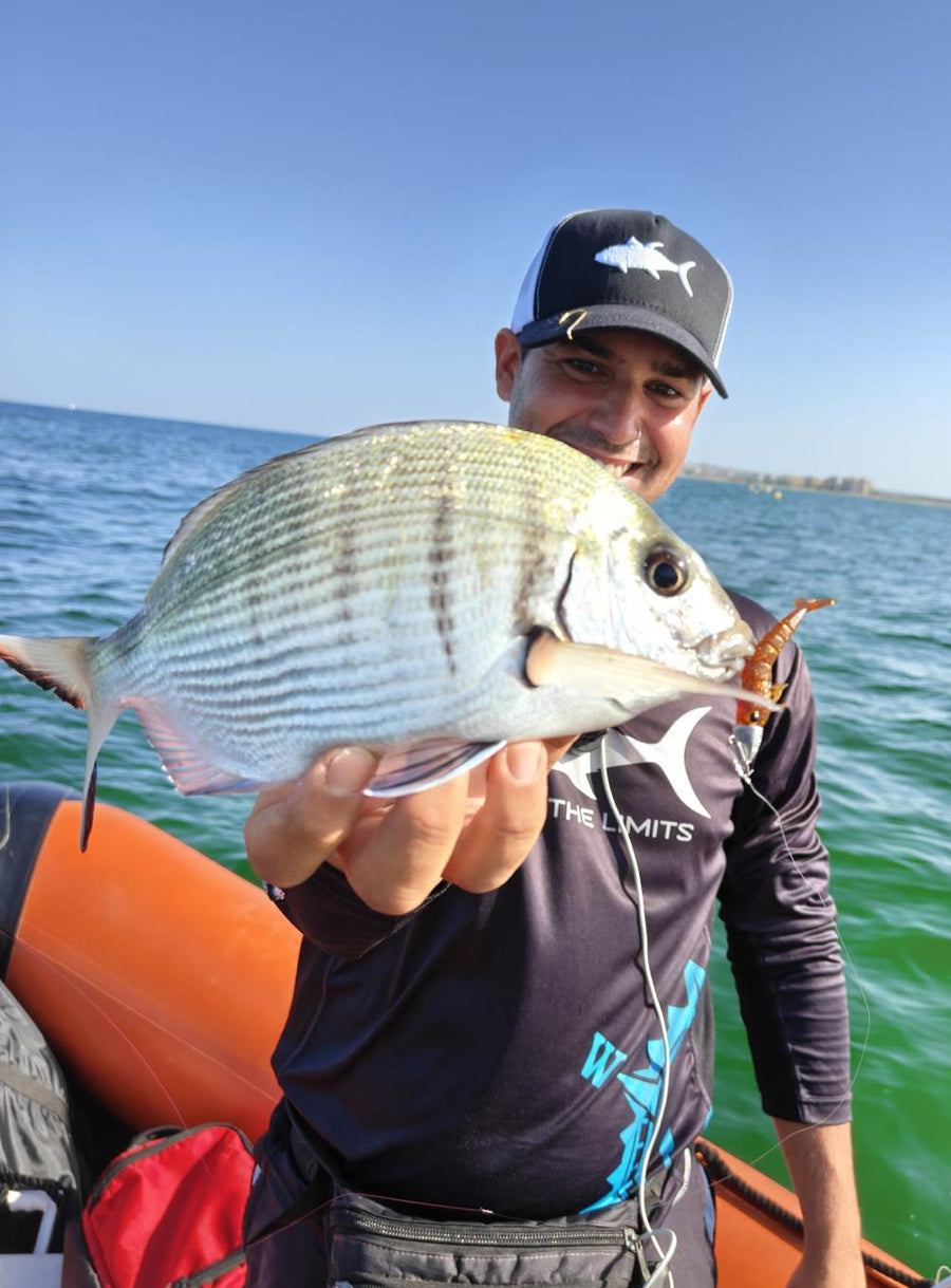 @bastidafishing