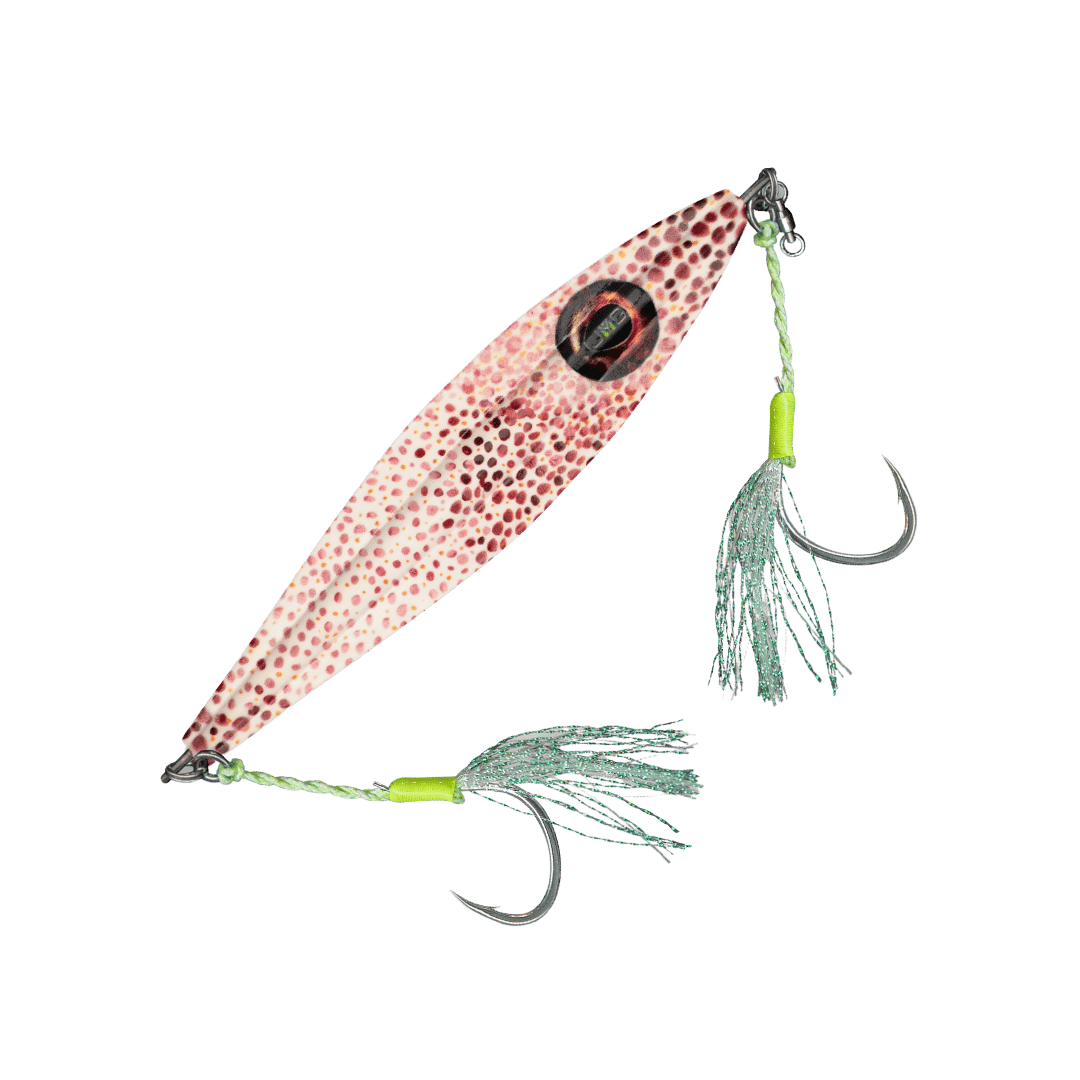 SQUID