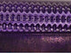 Purple Rayne