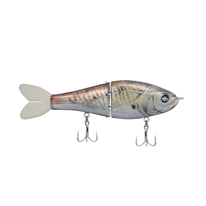 JYG GLYDE 8" 3oz glide bait in Croaker colour